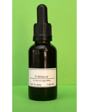 Echinacea angustifolia